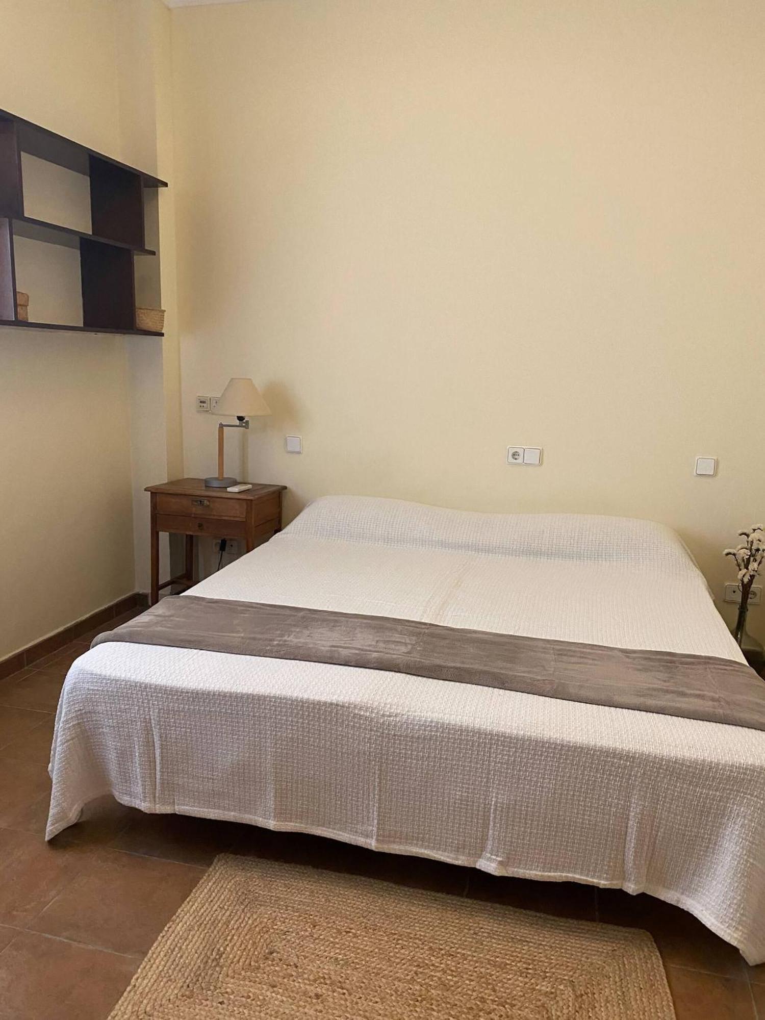 Room In Villa - Room Limon - Enjoy And Disconnect Alzira Εξωτερικό φωτογραφία